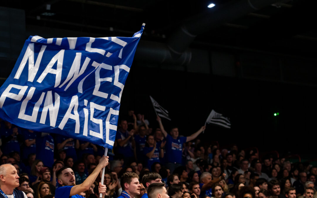 VIBREZ, VOLLEY, NRMV